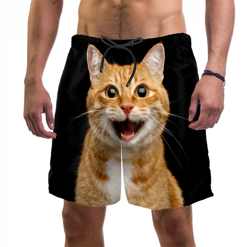 3d Print Funny Cat Beach Short - Trunks Board Surf recension och pris